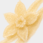 Vanilla Lip Scrub