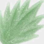 Mint Lip Scrub