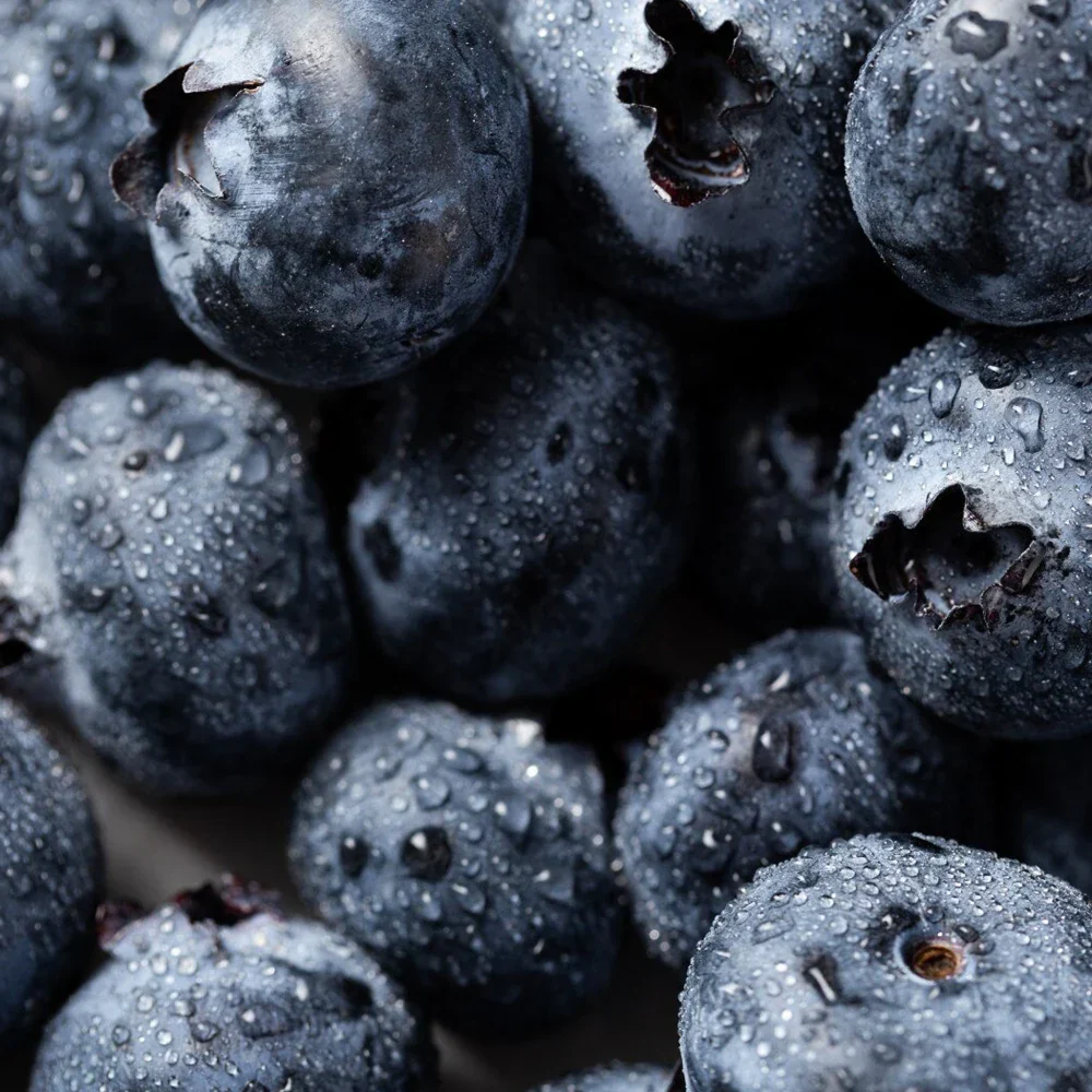 Blueberry Lip Scrub